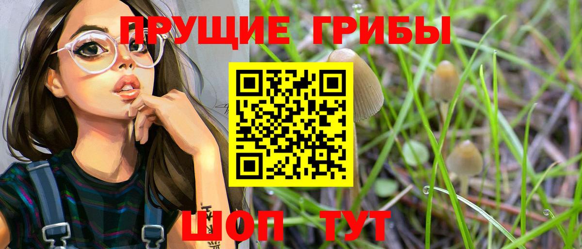 Псилоцибиновые грибы Psilocybine cubensis Орёл