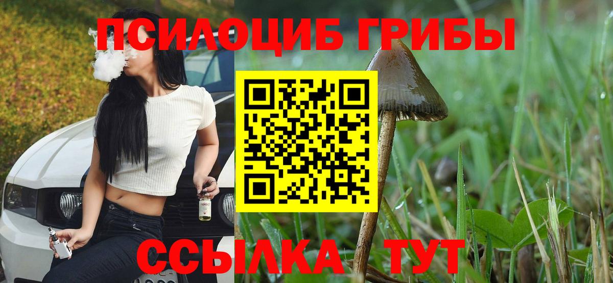 МЕФ Орёл
